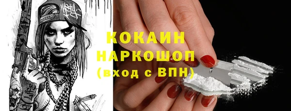 шишки Арсеньев