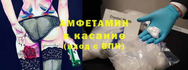 индика Алексин