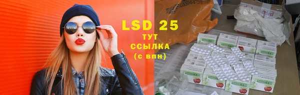 индика Алексин