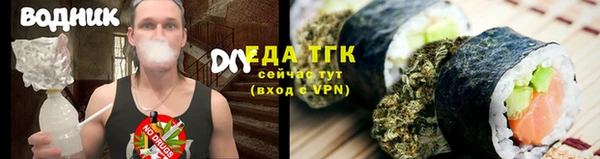 шишки Арсеньев