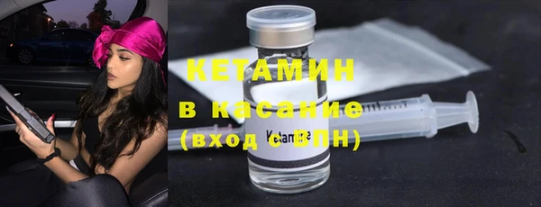 индика Алексин