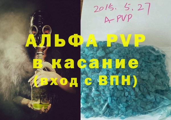 индика Алексин