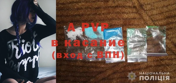шишки Арсеньев