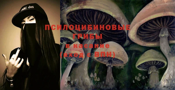 шишки Арсеньев