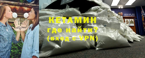 шишки Арсеньев