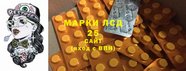 индика Алексин