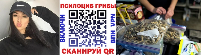 цены   Междуреченск  Псилоцибиновые грибы ЛСД 